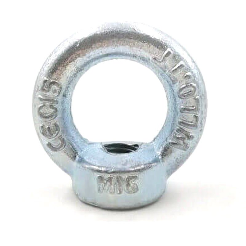 DIN582 Drop Forged Eye Nut